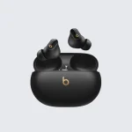Beats True Wireless Earbuds with Charging Case