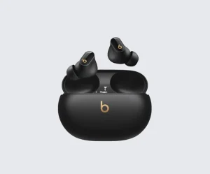 Beats True Wireless Earbuds with Charging Case